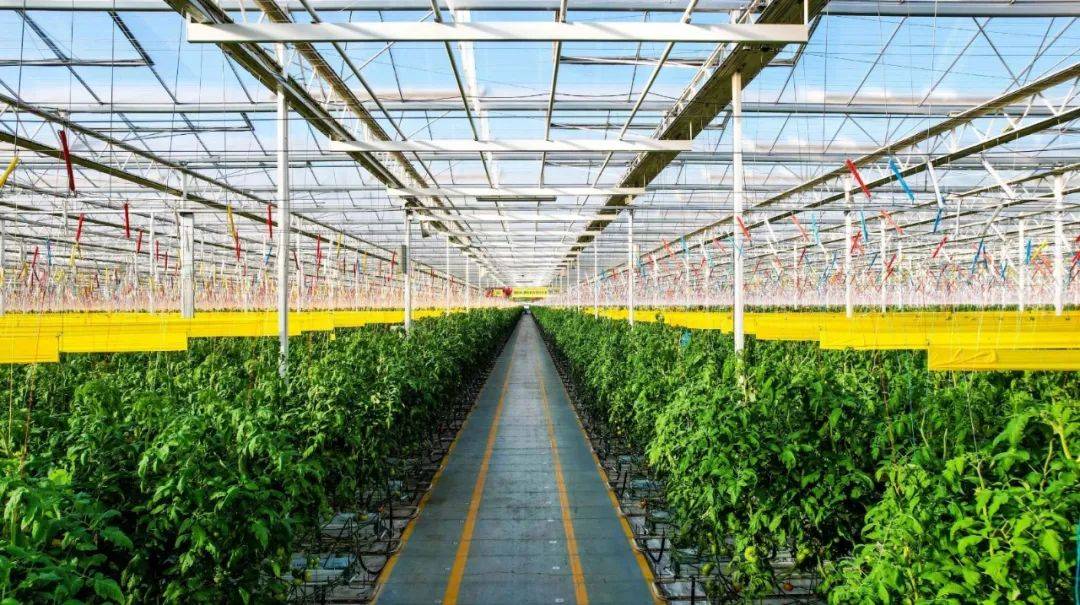 政策導向|首提1.4萬億斤糧食產量新目標,有何依據,如何實現?_農業_生